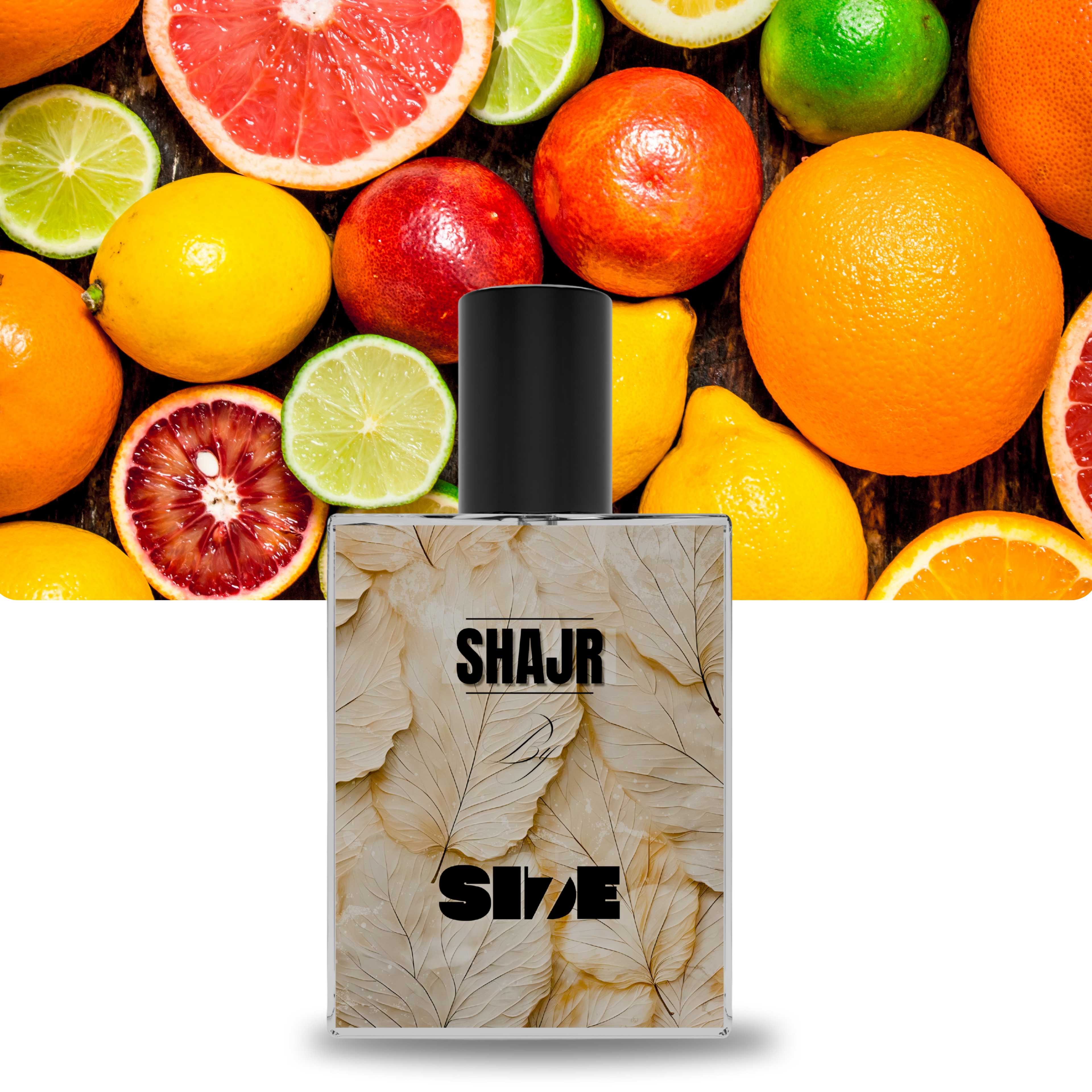 Shajr