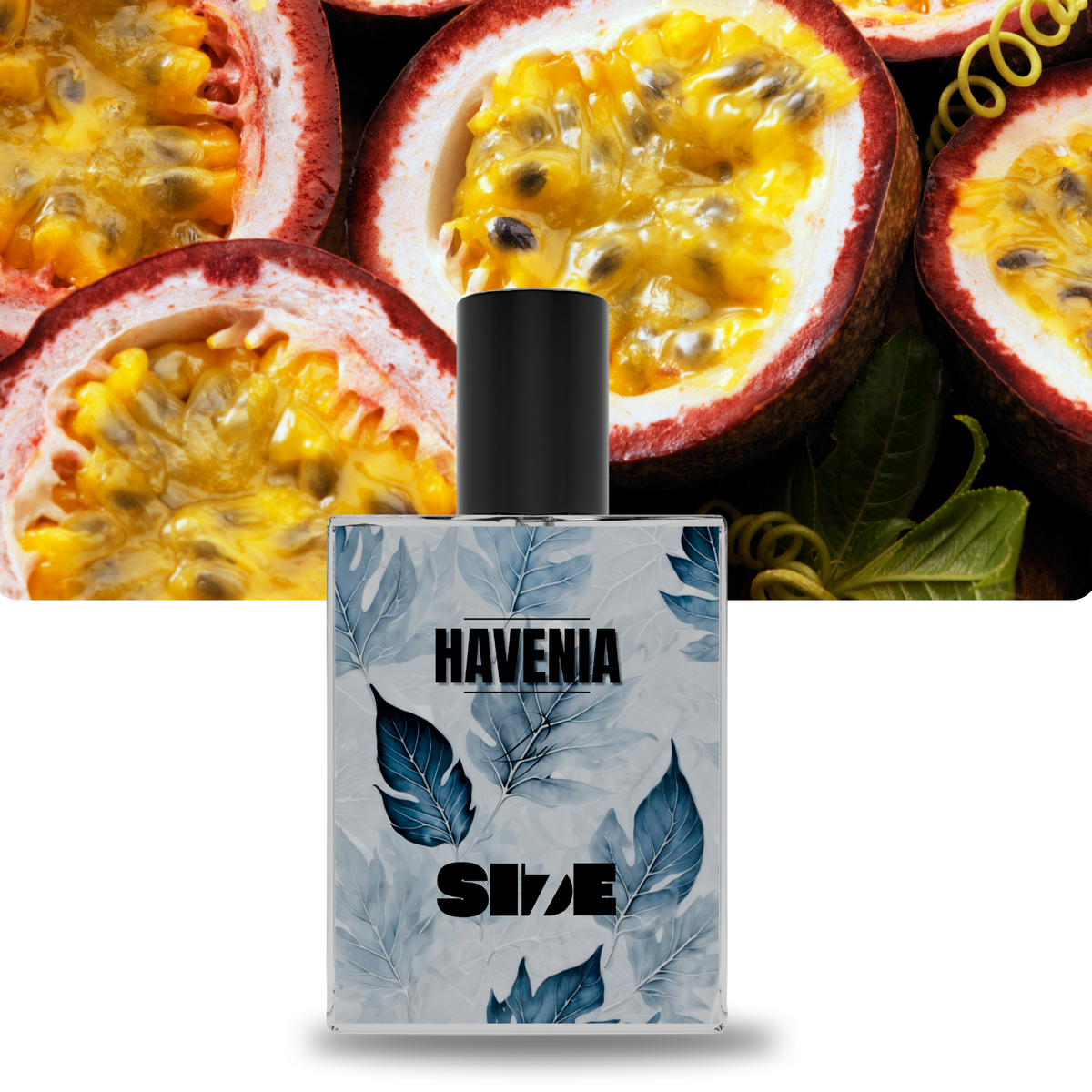 Havenia